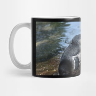 Little Blue Penguin Mug